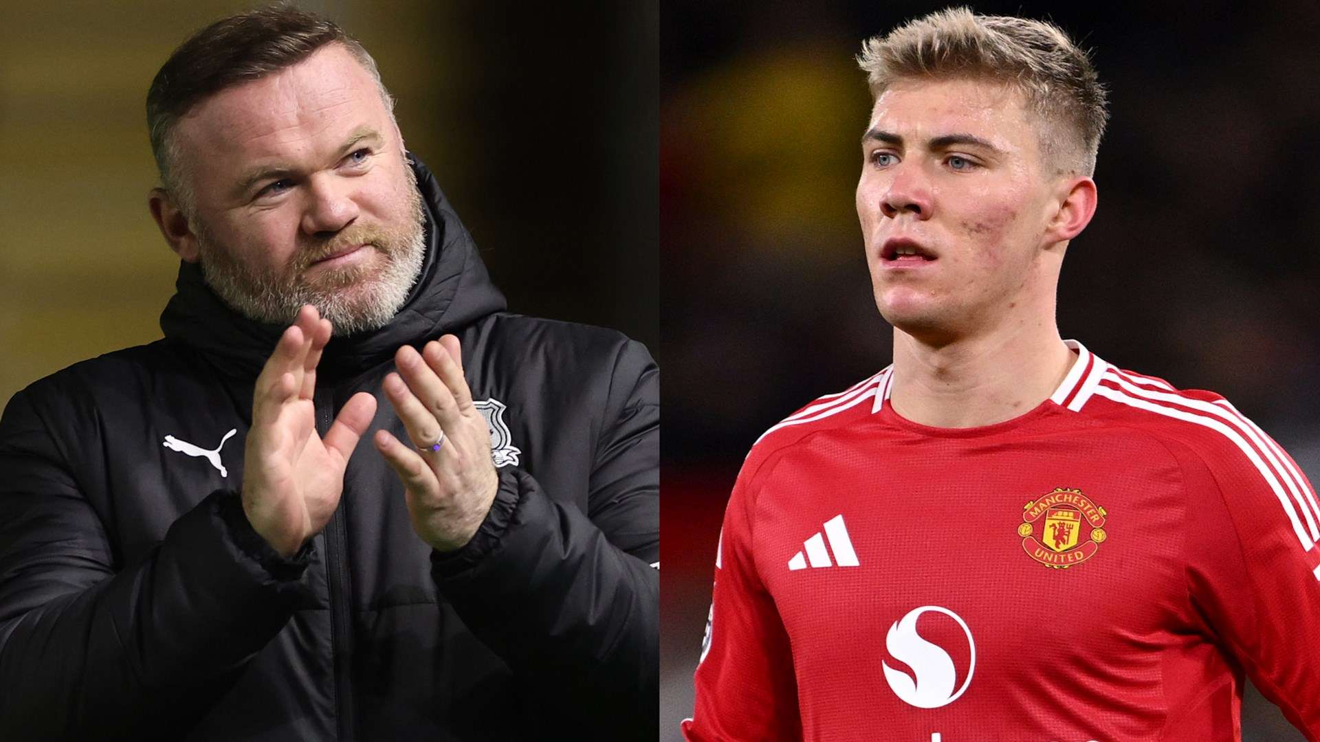 的熱切關注 的熱切關注