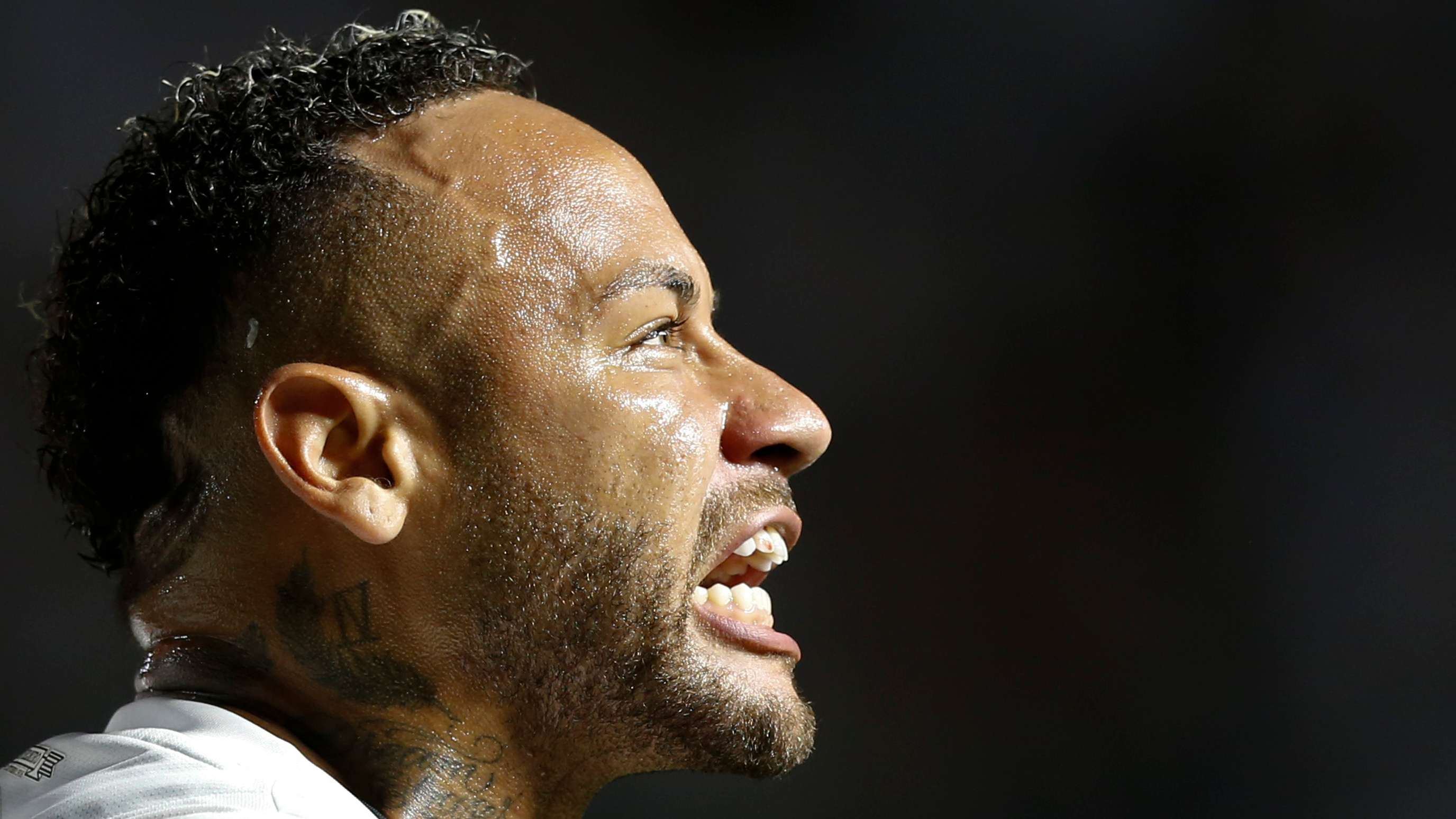 我们不仅看 我们不仅看